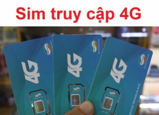 Các loại sim data không giới hạn giá rẻ nhất năm 2023 Phân loại sim data không giới hạn dung lượng