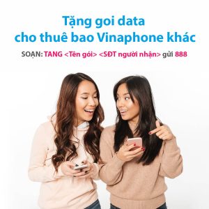 Tìm hiểu dịch vụ tặng data Vinaphone cho thuê bao khác